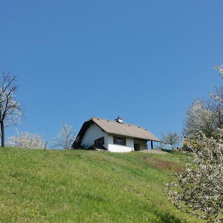 Apartma Pusa Pesnica pri Mariboru Екстериор снимка