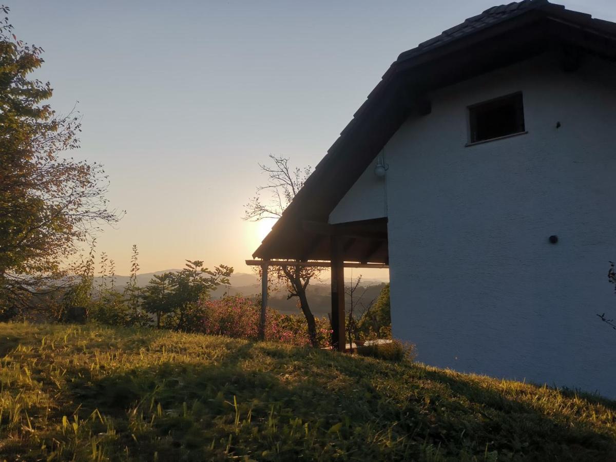 Apartma Pusa Pesnica pri Mariboru Екстериор снимка