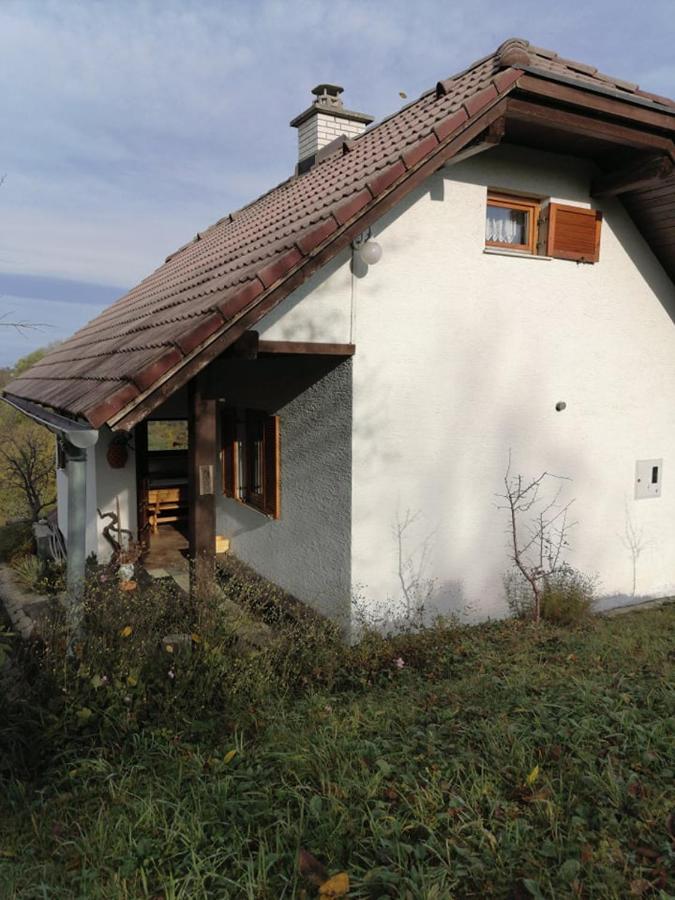Apartma Pusa Pesnica pri Mariboru Екстериор снимка
