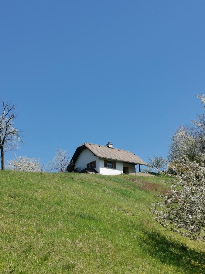 Apartma Pusa Pesnica pri Mariboru Екстериор снимка